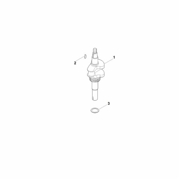 Bild von D - Kurbelwelle EVC 200.3 C (EVC200-0005)