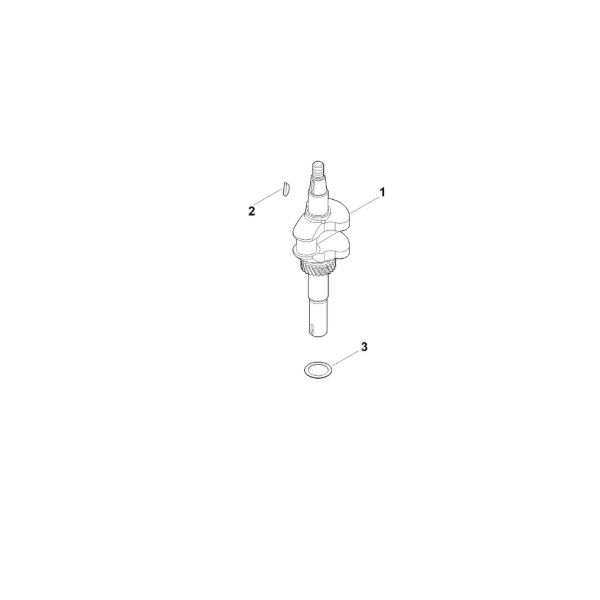 Bild von D - Kurbelwelle EVC 200.3 C (EVC200-0006)