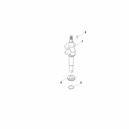 Bild von D - Kurbelwelle EVC 300.0 (EVC300-0001)