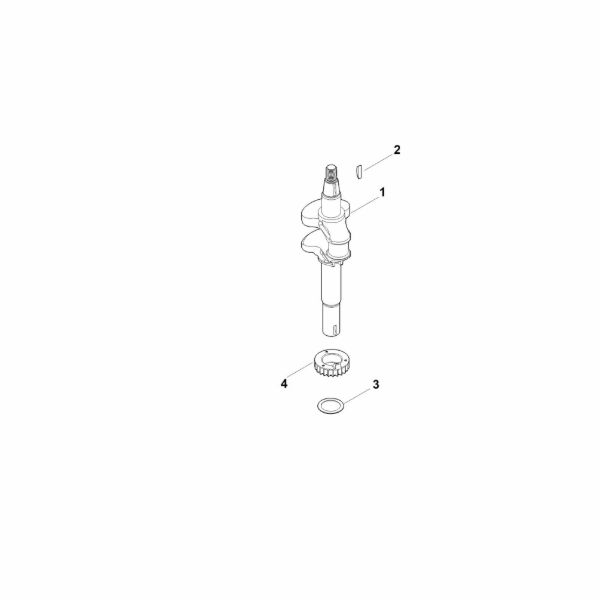 Bild von D - Kurbelwelle EVC 300.0 E (EVC300-0002)
