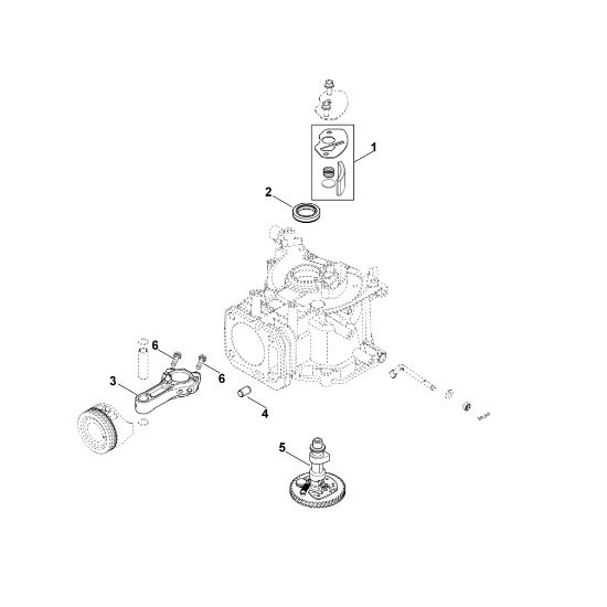 Bild von C - Nockenwelle XT-6 (XT149-0213)