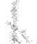 Hoch-Entaster (HT) HT 56 C-E Vergaser C1M-S267 der Marke Stihl