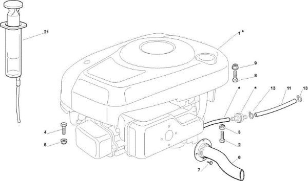 Engine OM 63C/6,5V Cat.2010 Garden tractor