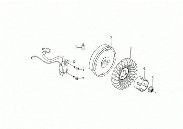 Volante y bobina digital MOTORE K800 H (EURO 5) Motor K800 H (EURO 5)