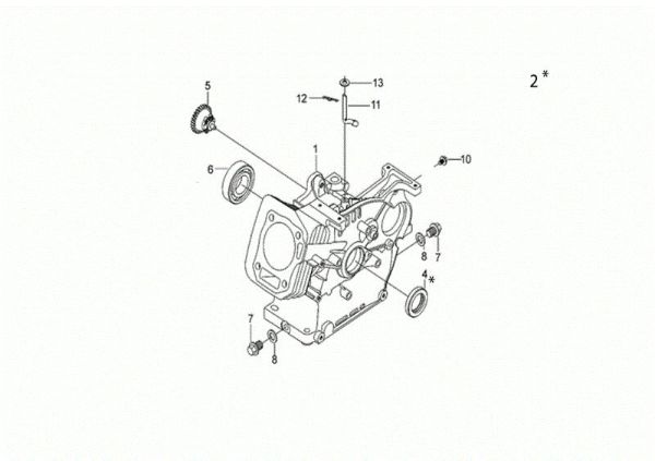 Carter motor MOTORE K800 H (EURO 5) Motor K800 H (EURO 5)