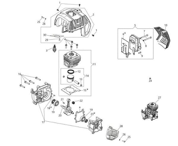 Motor BCH 50 T Desbrozadora