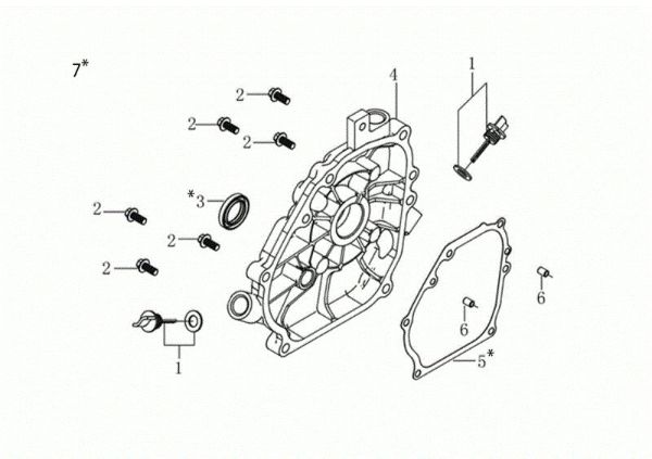 Tapa basamento MOTORE K900 HR (EURO5) Motor