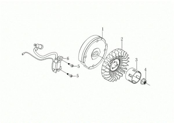Volante y bobina digital MOTORE K900 HR (EURO5) Motor